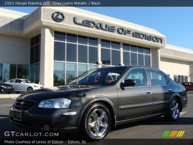 2001 Nissan Maxima GLE in Gray Lustre Metallic