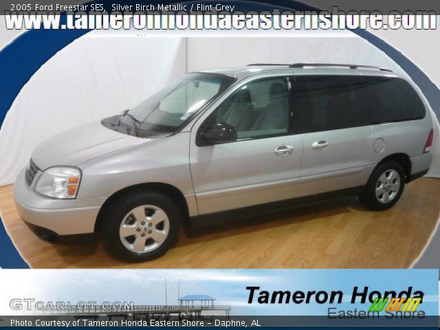 2005 Ford Freestar SES in Silver Birch Metallic