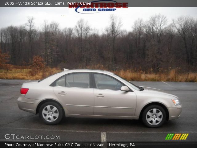 2009 Hyundai Sonata GLS in Camel Pearl