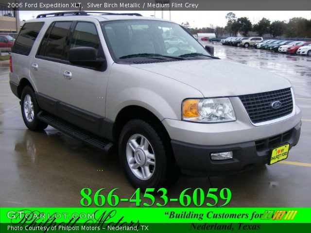 2006 Ford Expedition XLT in Silver Birch Metallic