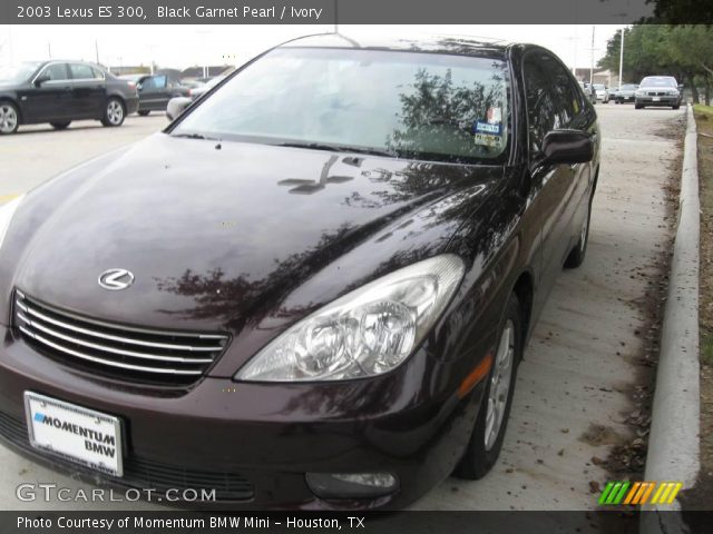 2003 Lexus ES 300 in Black Garnet Pearl