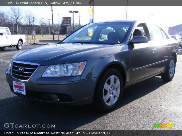 2009 Hyundai Sonata GLS in Willow Gray