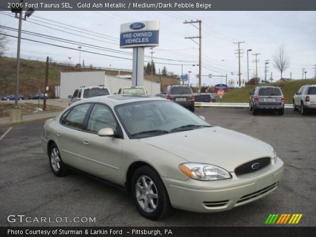 2006 Ford Taurus SEL in Gold Ash Metallic