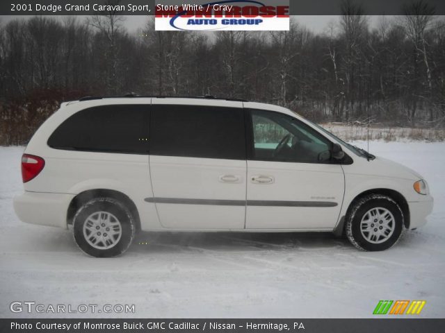2001 Dodge Grand Caravan Sport in Stone White