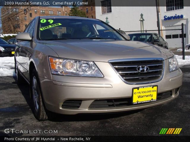 2009 Hyundai Sonata GLS in Camel Pearl