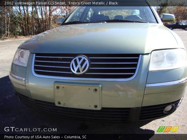2002 Volkswagen Passat GLS Sedan in Fresco Green Metallic