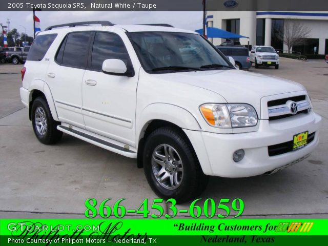 2005 Toyota Sequoia SR5 in Natural White