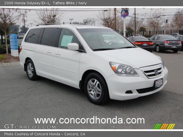 2006 Honda Odyssey EX-L in Taffeta White