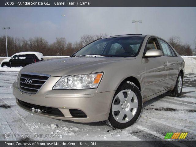 2009 Hyundai Sonata GLS in Camel Pearl