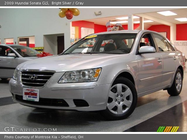 2009 Hyundai Sonata GLS in Bright Silver
