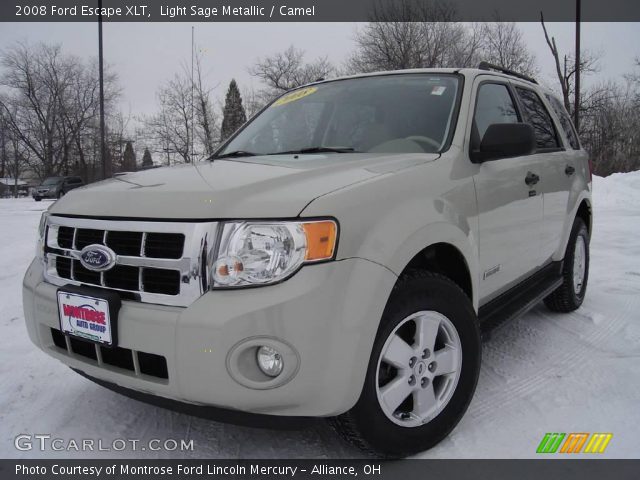 2008 Ford Escape XLT in Light Sage Metallic