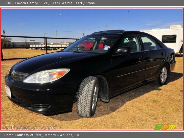 2002 Toyota Camry SE V6 in Black Walnut Pearl