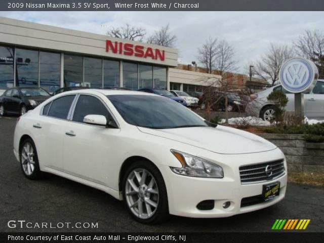 Used white nissan maxima 2009 #8
