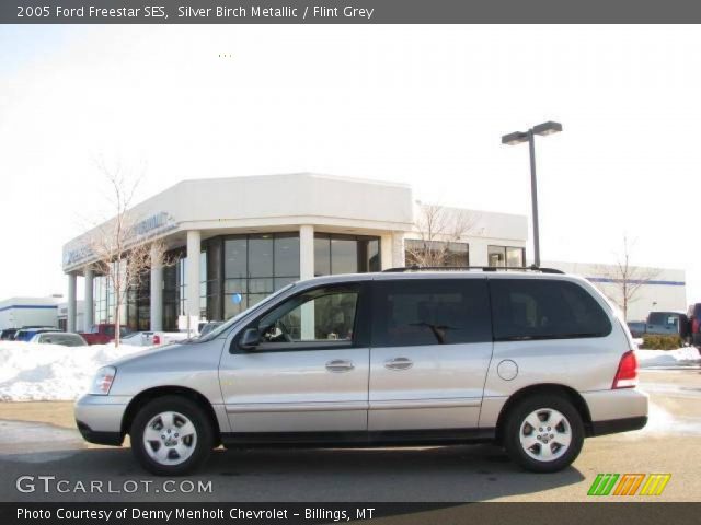 2005 Ford Freestar SES in Silver Birch Metallic