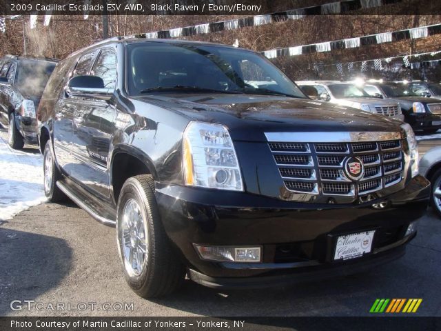 2009 Cadillac Escalade ESV AWD in Black Raven