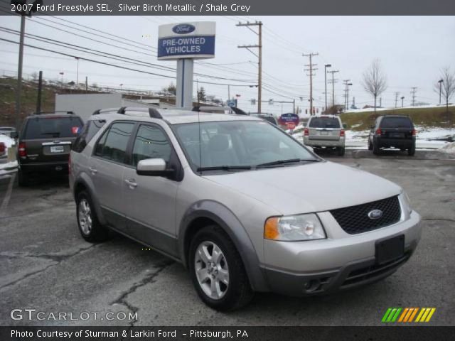 2007 Ford Freestyle SEL in Silver Birch Metallic