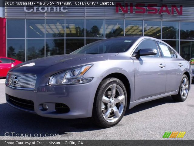 2010 Nissan Maxima 3.5 SV Premium in Ocean Gray