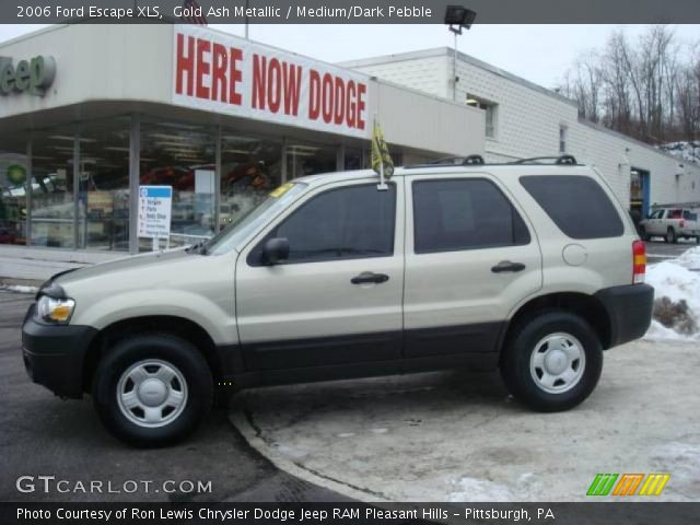 2006 Ford Escape XLS in Gold Ash Metallic