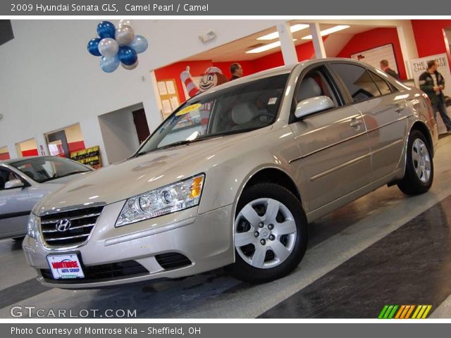 2009 Hyundai Sonata GLS in Camel Pearl