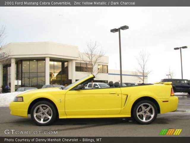 2001 Ford Mustang Cobra Convertible in Zinc Yellow Metallic