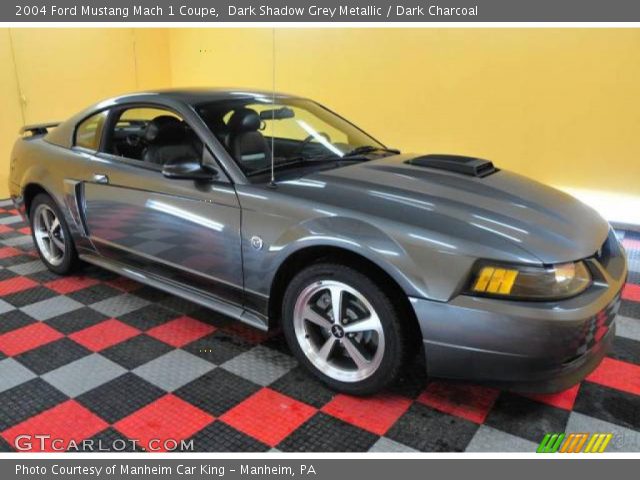 Dark Shadow Grey Metallic 2004 Ford Mustang Mach 1 Coupe