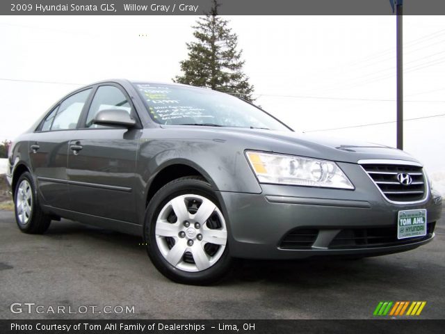 2009 Hyundai Sonata GLS in Willow Gray
