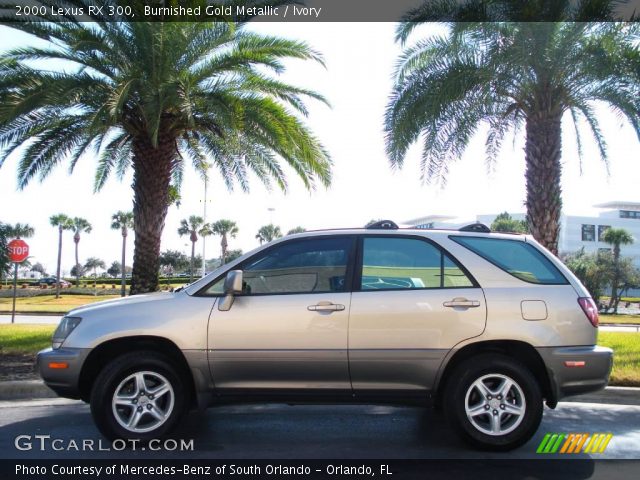 2000 Lexus RX 300 in Burnished Gold Metallic