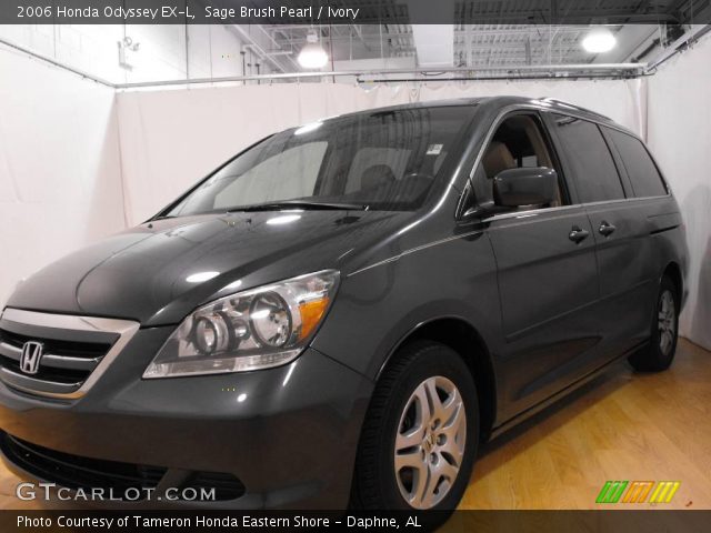 2006 Honda Odyssey EX-L in Sage Brush Pearl