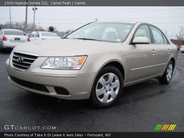 2009 Hyundai Sonata GLS in Camel Pearl
