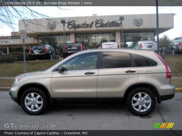2009 Honda CR-V EX in Borrego Beige Metallic