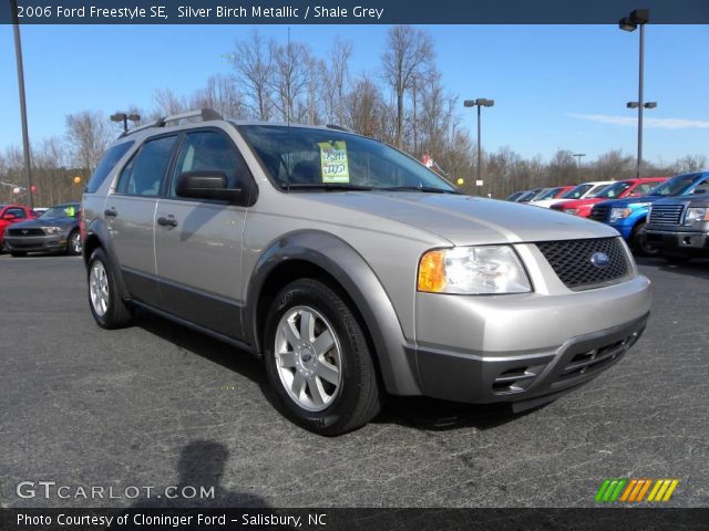 2006 Ford Freestyle SE in Silver Birch Metallic