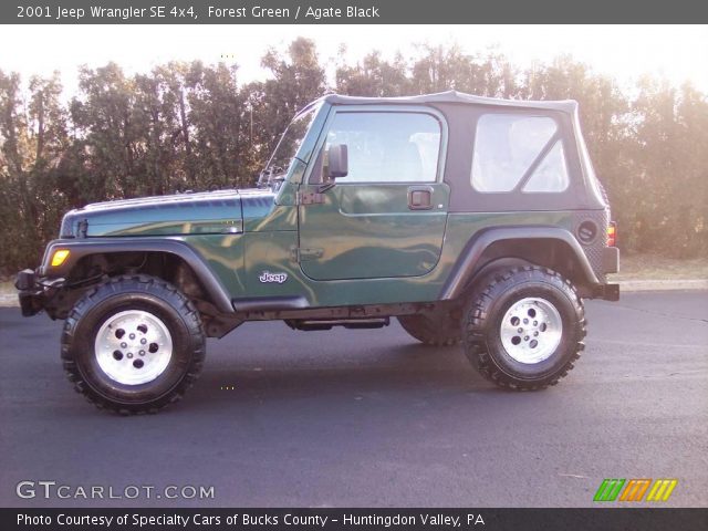 2001 Jeep Wrangler SE 4x4 in Forest Green