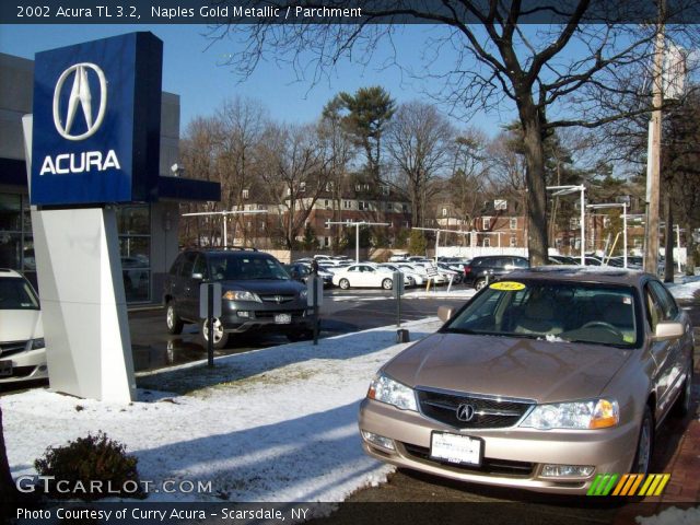 2002 Acura TL 3.2 in Naples Gold Metallic