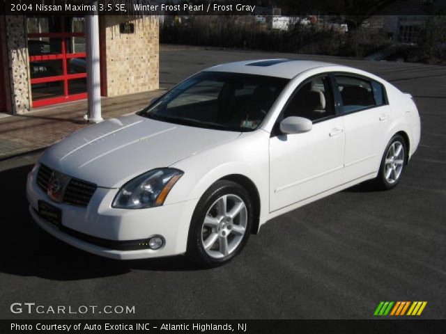 Nissan maxima winter frost pearl #10