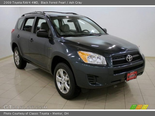 2009 Toyota RAV4 4WD in Black Forest Pearl