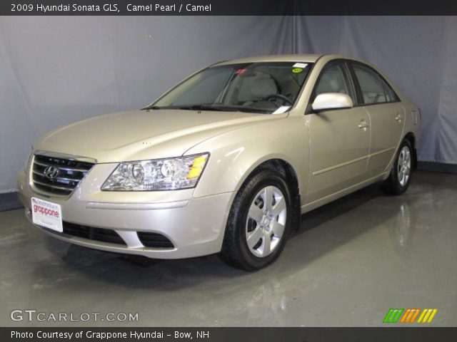 2009 Hyundai Sonata GLS in Camel Pearl
