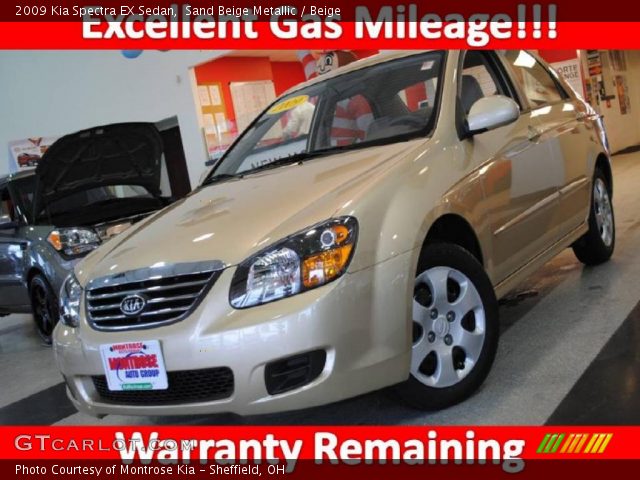 2009 Kia Spectra EX Sedan in Sand Beige Metallic