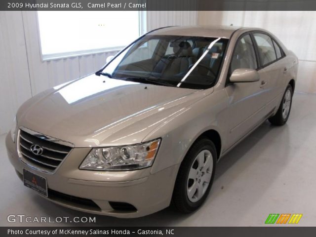 2009 Hyundai Sonata GLS in Camel Pearl