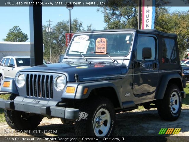 2001 Jeep Wrangler SE 4x4 in Steel Blue Pearl