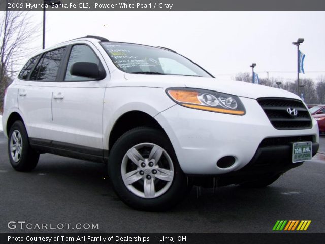 2009 Hyundai Santa Fe GLS in Powder White Pearl