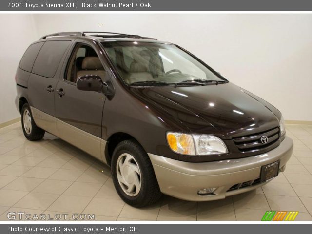 2001 Toyota Sienna XLE in Black Walnut Pearl