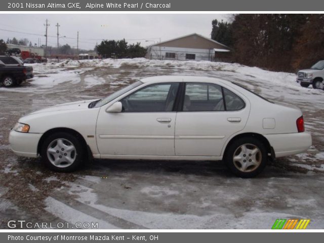 2001 Nissan Altima GXE in Alpine White Pearl