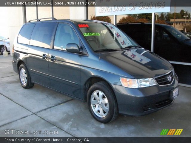 2004 Honda Odyssey EX-L in Sage Brush Pearl