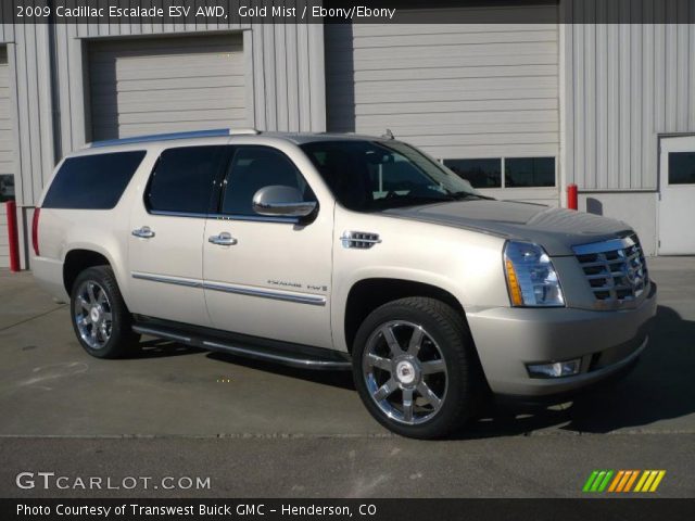2009 Cadillac Escalade ESV AWD in Gold Mist