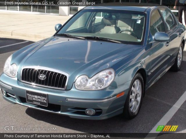 2005 Hyundai Sonata GLS V6 in Celadon Green
