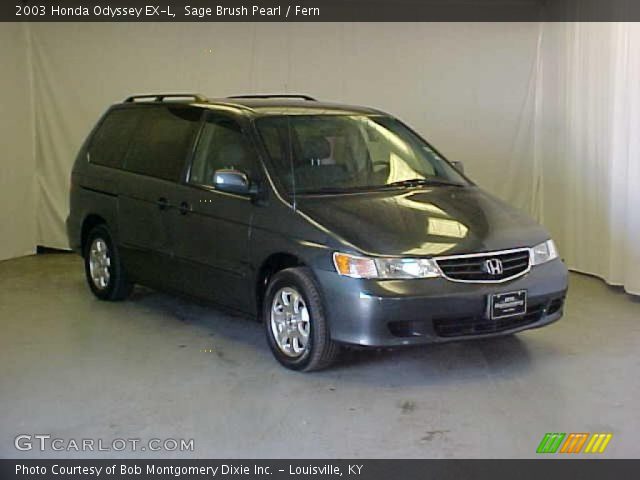 2003 Honda Odyssey EX-L in Sage Brush Pearl