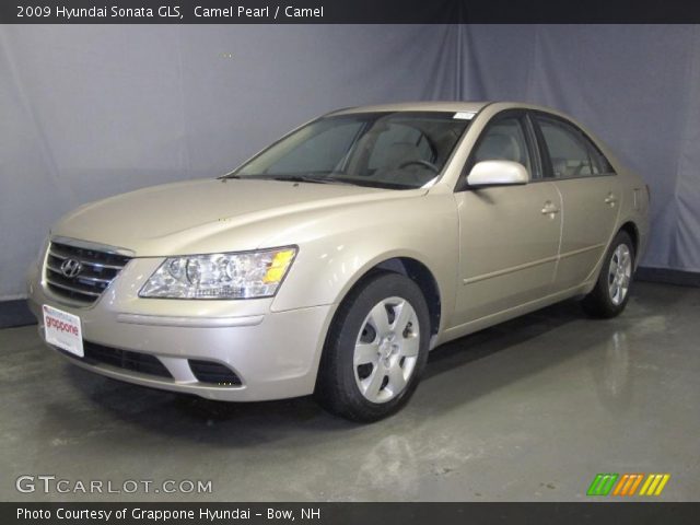 2009 Hyundai Sonata GLS in Camel Pearl