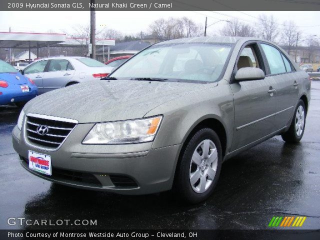 2009 Hyundai Sonata GLS in Natural Khaki Green