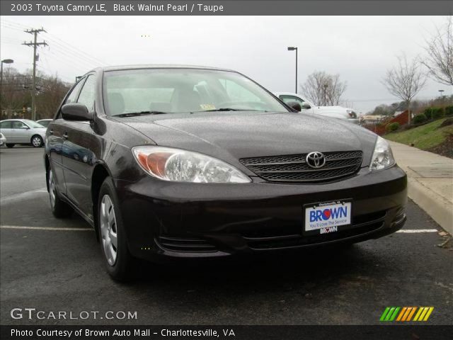 2003 Toyota Camry LE in Black Walnut Pearl