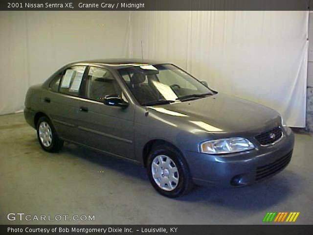2001 Nissan Sentra XE in Granite Gray